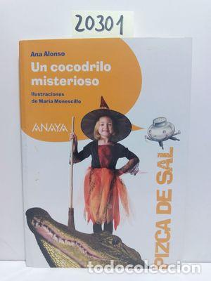 Libros: UN COCODRILO MISTERIOSO - ALONSO, ANA - Foto 1