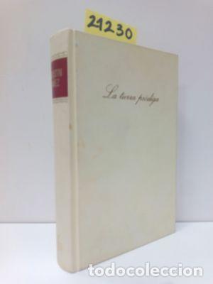Libros: LA TIERRA PR&Oacute;DIGA - Y&Aacute;&Ntilde;EZ, AGUST&Iacute;N - Foto 1