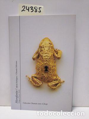 Libros: HIEROFAN&Iacute;AS - RODR&Iacute;GUEZ DOM&Iacute;NGUEZ, ALFREDO - Foto 1