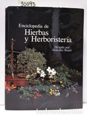 Libros: ENCICLOPEDIA DE HIERBAS Y HERBORISTERIA - STUART, MALCOLM. - Foto 1