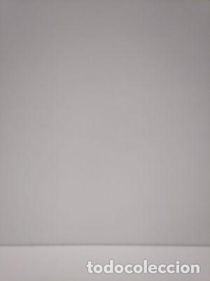 Libros: AUTOMATANZA - AYLETT, STEVE - Foto 1