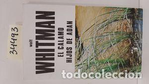 Libros: HIJOS DE AD&Aacute;N. C&Aacute;LAMO - WHITMAN, WALT - Foto 1