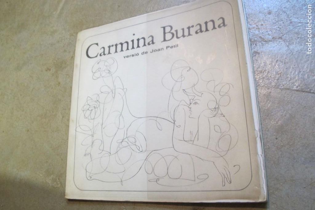 Libros: CARMINA BURANA. VERSIO DE JOAN PETIT - Foto 1