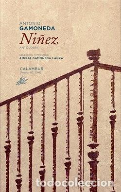 Libros: GAMONEDA, Antonio. - Ni&ntilde;ez (Antolog&iacute;a). - Foto 1