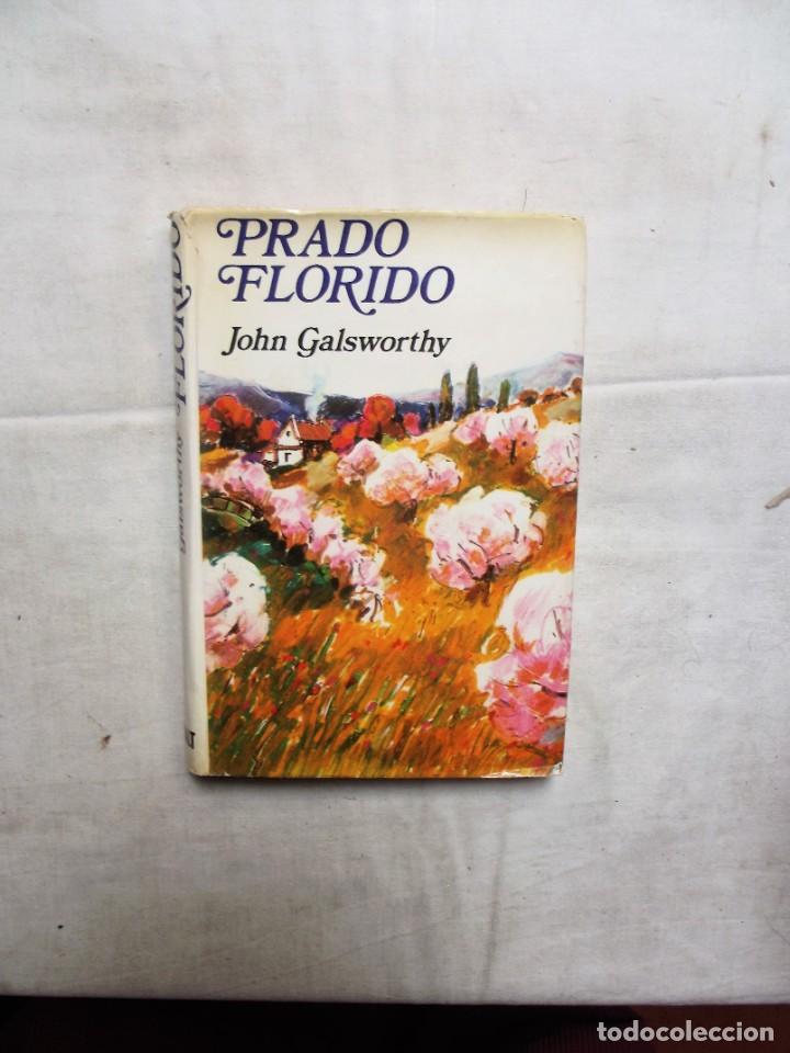Libros: PRADO FLORIDO DE JOHN GALSWORTHY - Foto 1