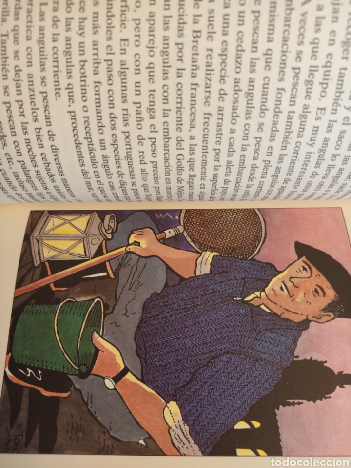 Libros: ANGULAS Y ANGUILAS, ROBERTO LOTINA, BBK, 1995 - Foto 3
