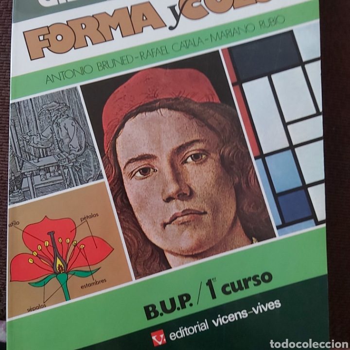Libros: Dibujo.FORMA Y COLOR. - Foto 1