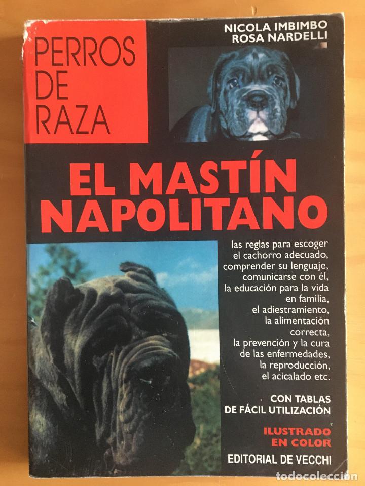 Libros: EL MASTIN NAPOLITANO - PERROS DE RAZA - Foto 1