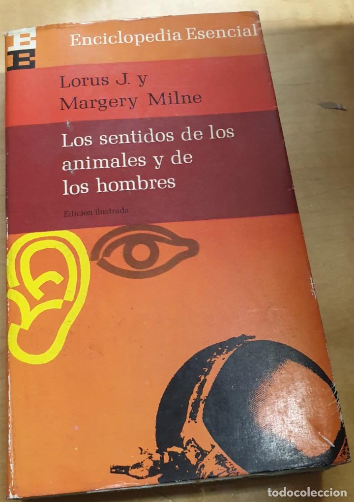 Libri di seconda mano: Los sentidos de los animales y de los hombres - LORUS, J./MILNE, MARGERY