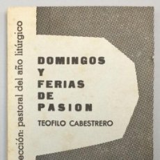 Libros: PASTORAL DEL AÑO LITÚRGICO: DOMINGOS Y FERIAS DE PASIÓN - TEÓFILO CABESTRERO ET AL.. Lote 340762813