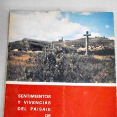 Libros: SENTIMIENTOS Y VIVENCIAS DEL PAISAJE DE FUENTIDUEÑA.- MARTINEZ GARCIA, ANDRÉS-RICARDO. Lote 340912068