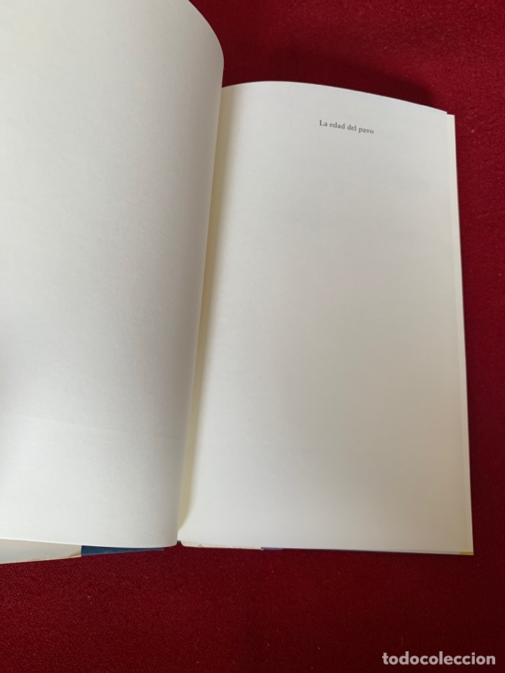 Libros: La edad del pavo. Alejandra Vallejo-N&aacute;gera. - Foto 6