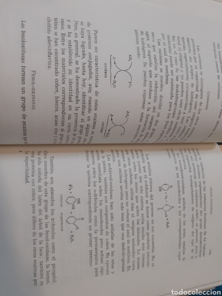 Libros: ASPECTOS DINAMICOS DE LA BIOQUIMICA - BALDWIN,Ernest - Foto 12