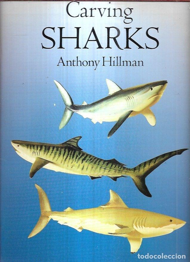 Libros: CARVING SHARKS - HILLMAN, ANTHONY - Foto 1