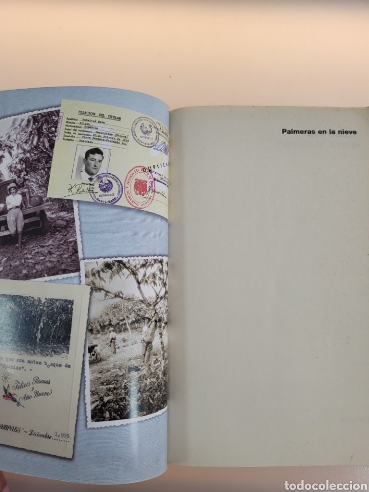 Libros: PALMERAS EN LA NIEVE. LUZ GABAS.☆ - Foto 3