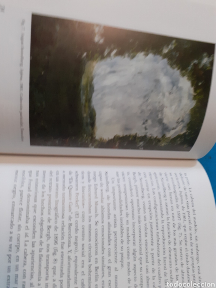 Libros: LAS PINTURAS DE AUGUST STRINDBERG. La estructura del caos - ROSENBLUM,Robert - Foto 5
