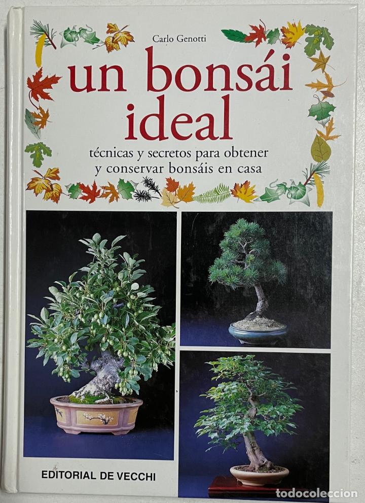Libros: Un bons&aacute;i ideal / Carlo Genotti - Foto 1