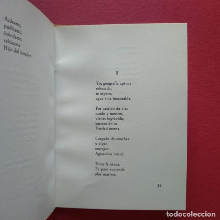 Libros: Barro Doliente. - Zavala, Iris M. - Foto 3