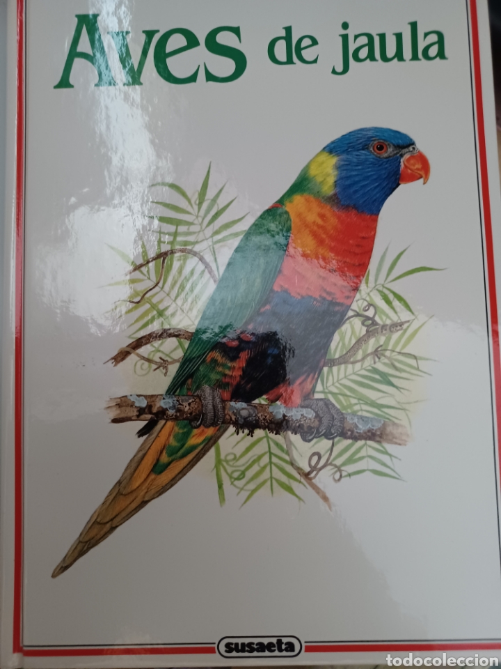 Libros: Barybook 211. Aves de jaula Susaeta - Foto 1