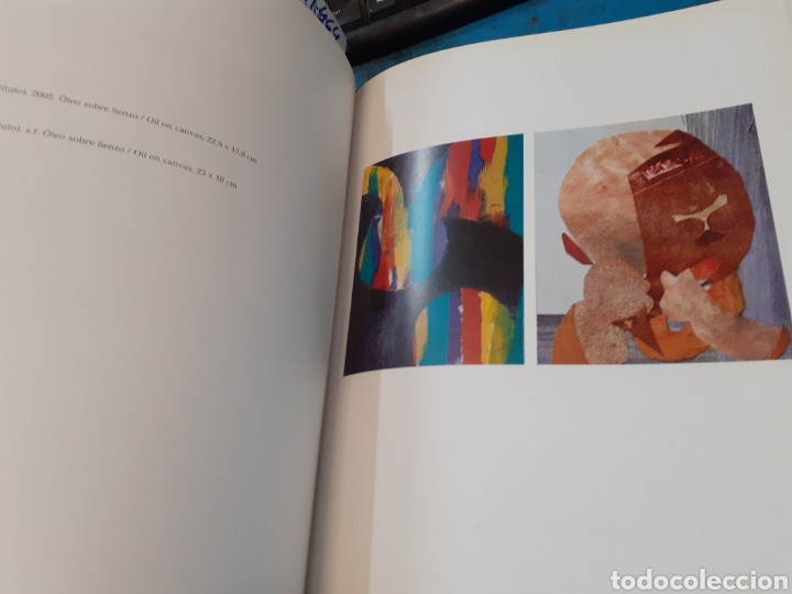Libros: SHEILA GIRLING. IVAM - MENOR,Vicky (Coord.) - Foto 4