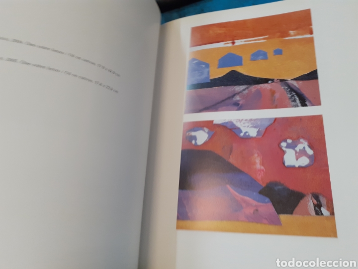 Libros: SHEILA GIRLING. IVAM - MENOR,Vicky (Coord.) - Foto 5