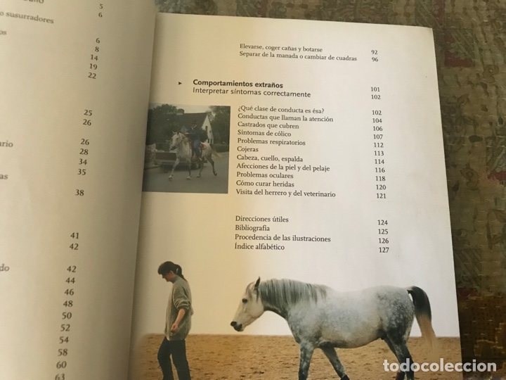 Libros: Comunicarse con los caballos. Kirstin Zoller. Omega - Foto 6