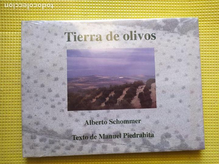 Libros: TIERRA DE OLIVOS ALBERTO SCHOMMER PRECINTADO - Foto 1