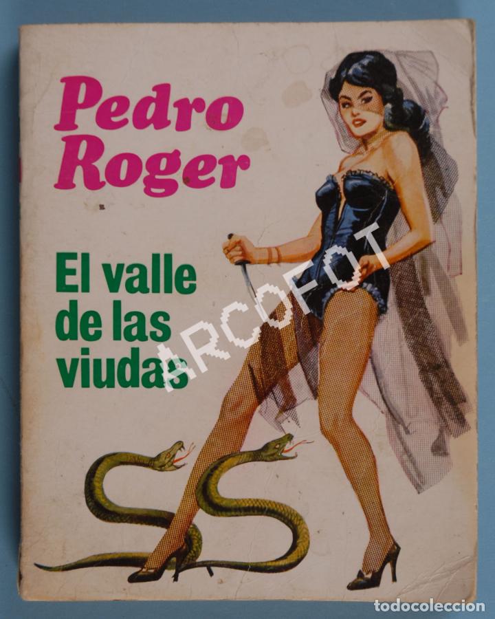 Libros: EL VALLE DE LAS VIUDAS - PEDRO ROGER - EDICIONES CID 1970 - Foto 1