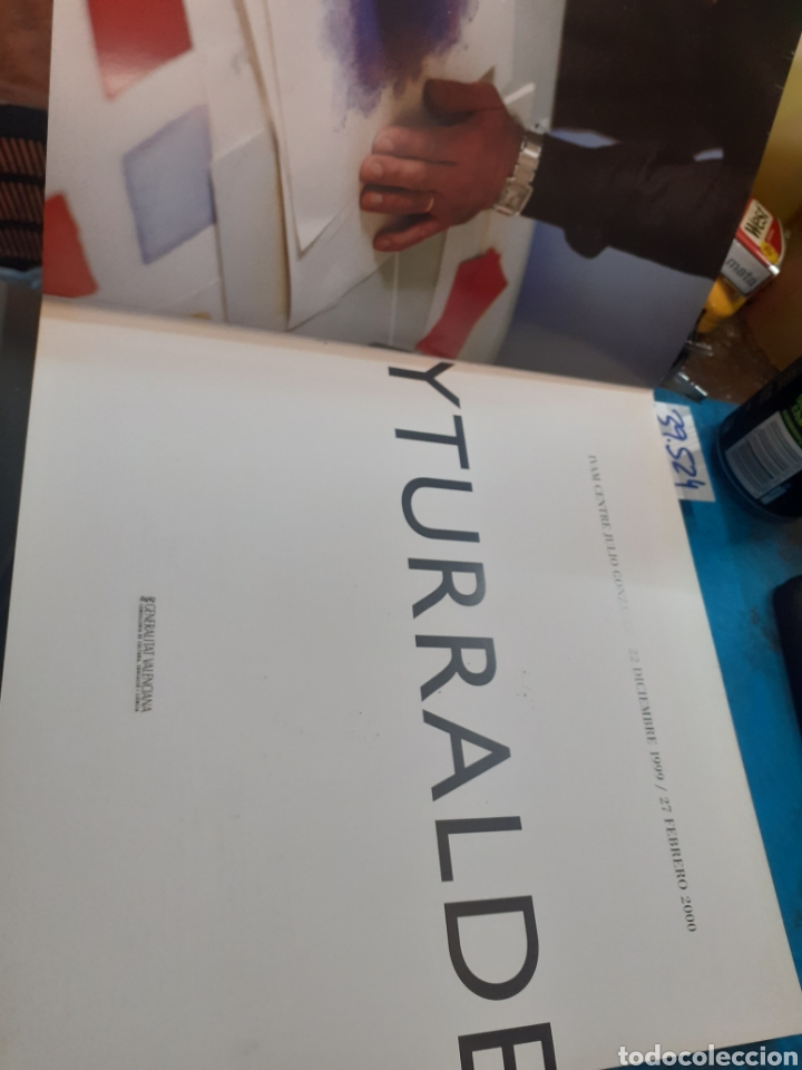 Libros: YTURRALDE. IVAM - MILLET,Teresa (Coord.) - Foto 3