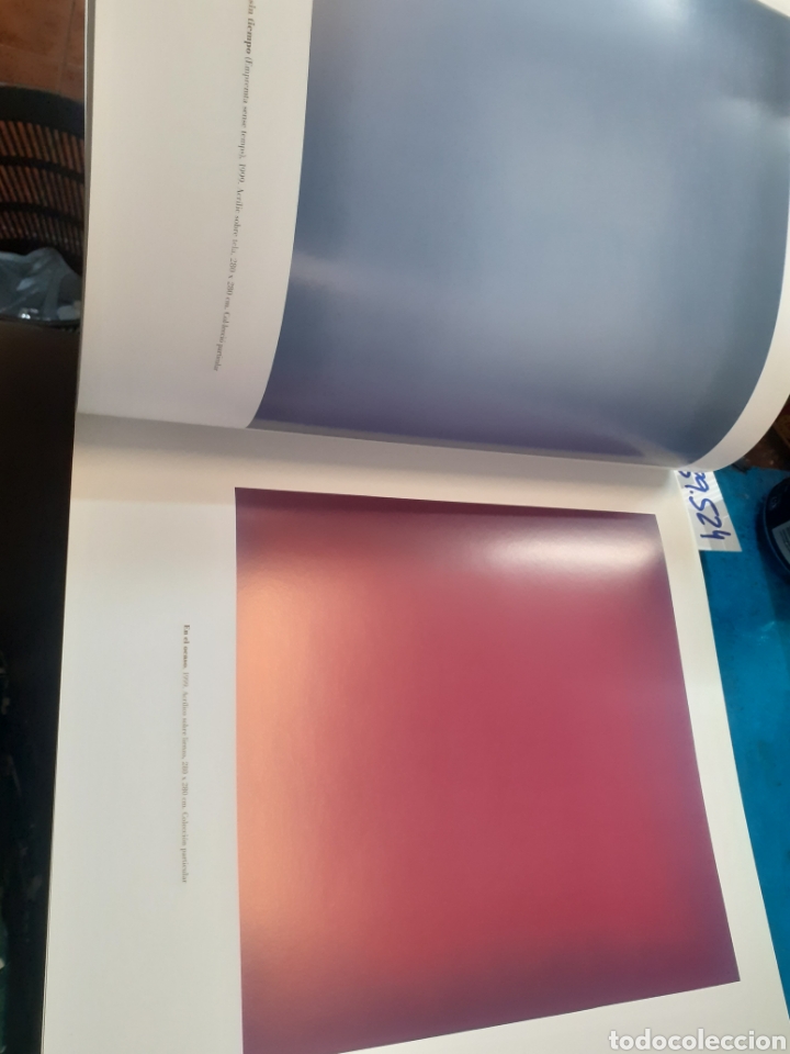 Libros: YTURRALDE. IVAM - MILLET,Teresa (Coord.) - Foto 5