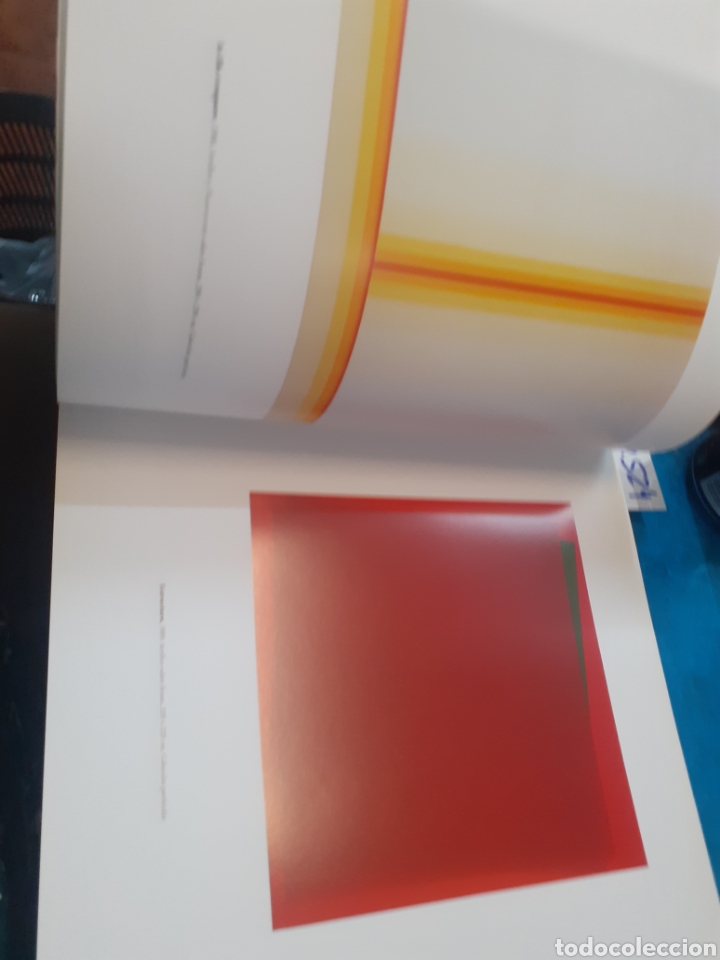 Libros: YTURRALDE. IVAM - MILLET,Teresa (Coord.) - Foto 6