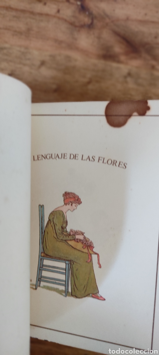 Libros: El Lenguaje De Las Flores - Foto 2