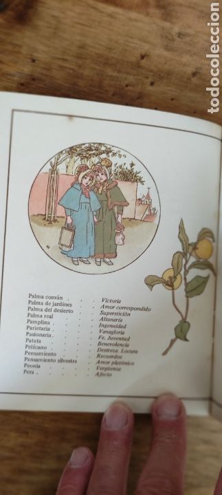 Libros: El Lenguaje De Las Flores - Foto 5