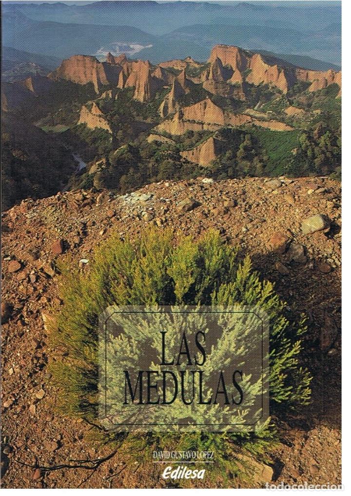 Libros: LAS M&Eacute;DULAS. - Gustavo L&oacute;pez. David, - Foto 1