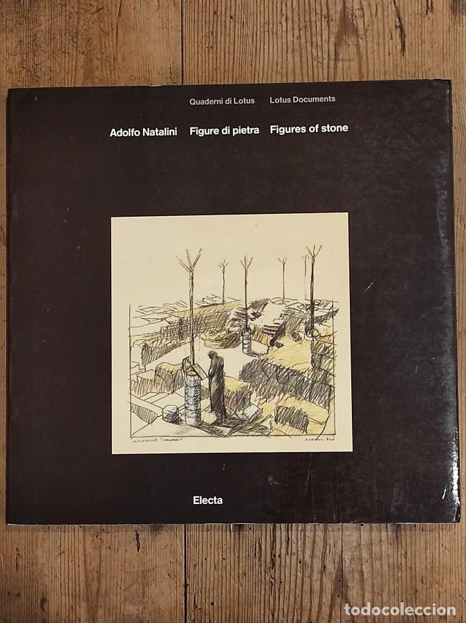 Libros: FIGURE DI PIETRA / FIGURES OF STONE - Natalini, Adolfo