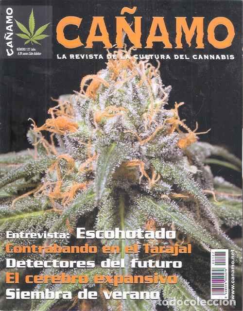 Libri di seconda mano: Ca&ntilde;amo, 127. Escohotado. Contrabando en el Tarajal. Detectores del futuro. El cerebro expansivo. Sie