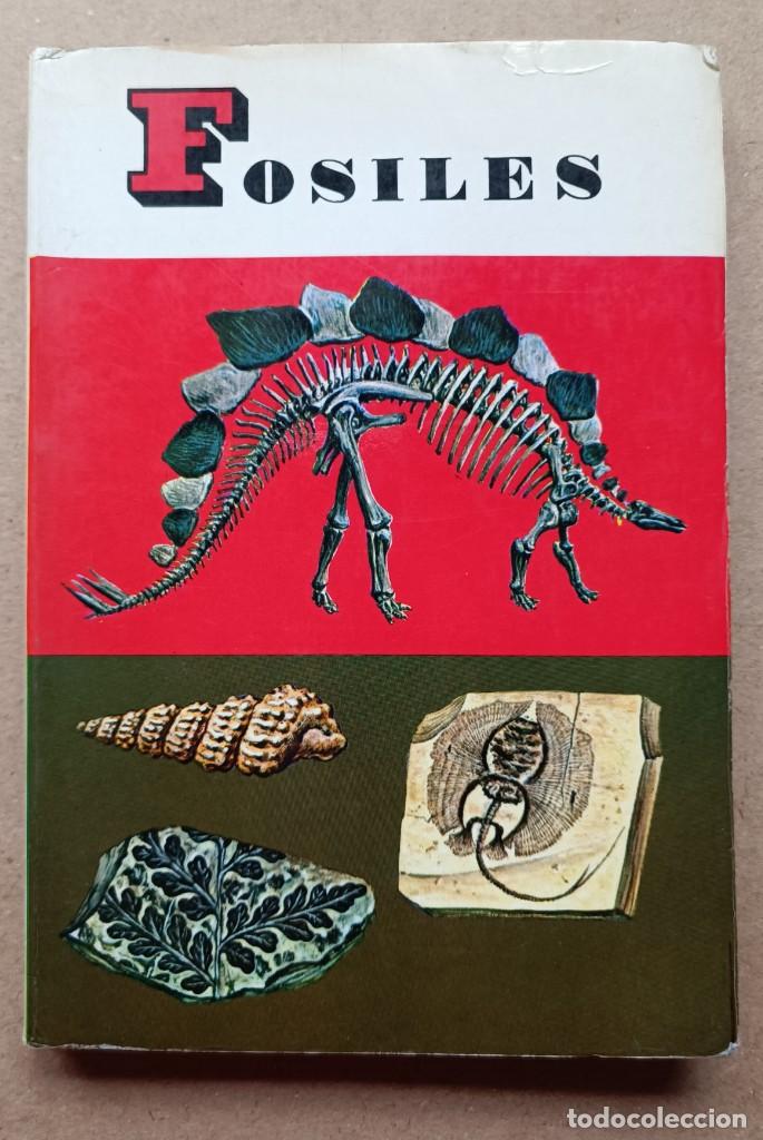 Libros: Peque&ntilde;a biblioteca Daimon numero 114: Fosiles - Foto 1