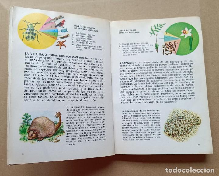 Libros: Peque&ntilde;a biblioteca Daimon numero 114: Fosiles - Foto 3