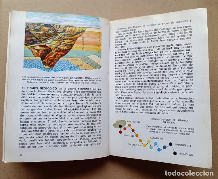 Libros: Peque&ntilde;a biblioteca Daimon numero 114: Fosiles - Foto 4