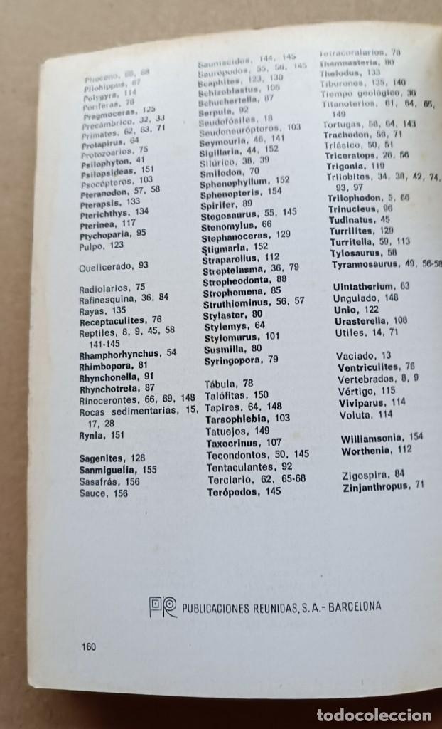 Libros: Peque&ntilde;a biblioteca Daimon numero 114: Fosiles - Foto 6