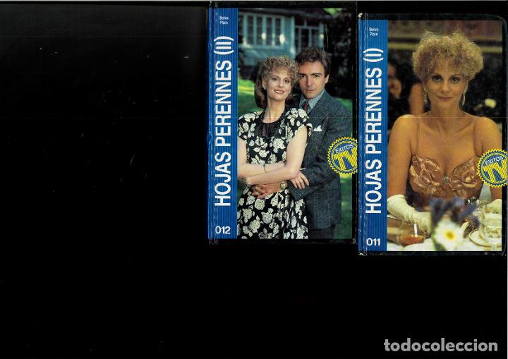 Libros: HOJAS PERENNES. VOL&Uacute;MENES I Y II - BELVA PLAIN - Foto 1