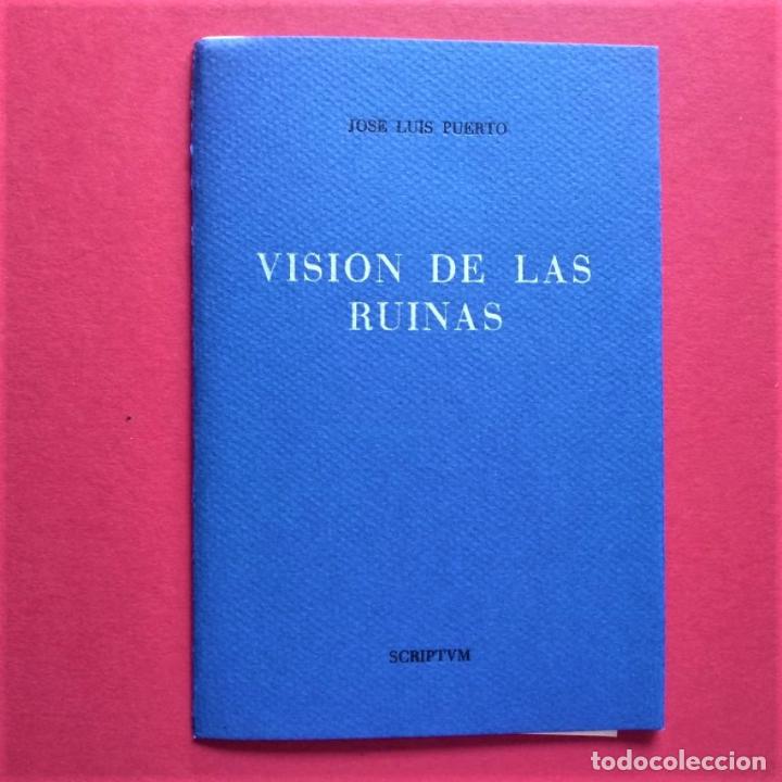 Libros: Visi&oacute;n de las Ruinas. - Puerto, Jos&eacute; Luis. - Foto 1