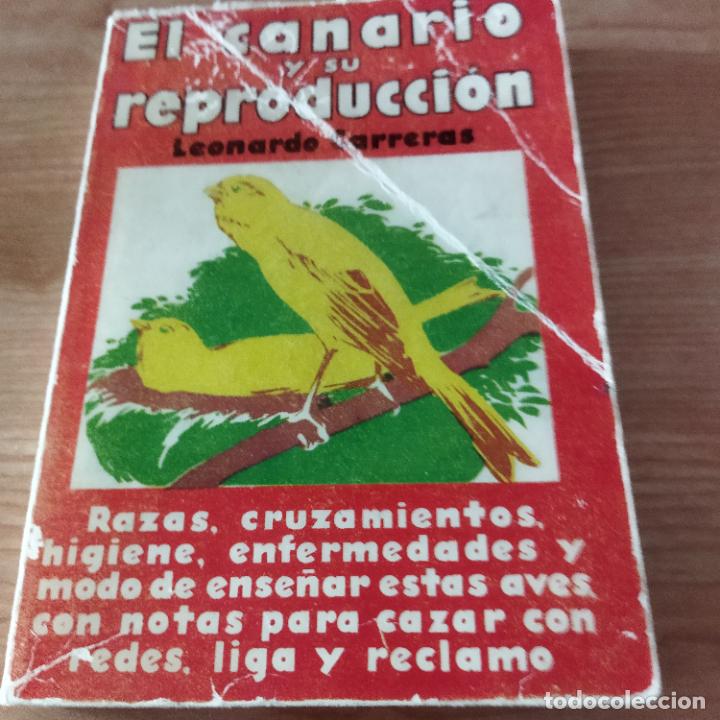 Libros: El canario y su reproducci&oacute;n - Foto 1