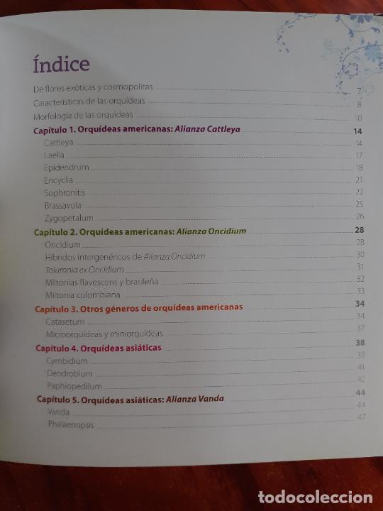 Libros: ORQUIDEAS � PLANTAS MEDICINALES - MARIA JULIA FREULER - Foto 3