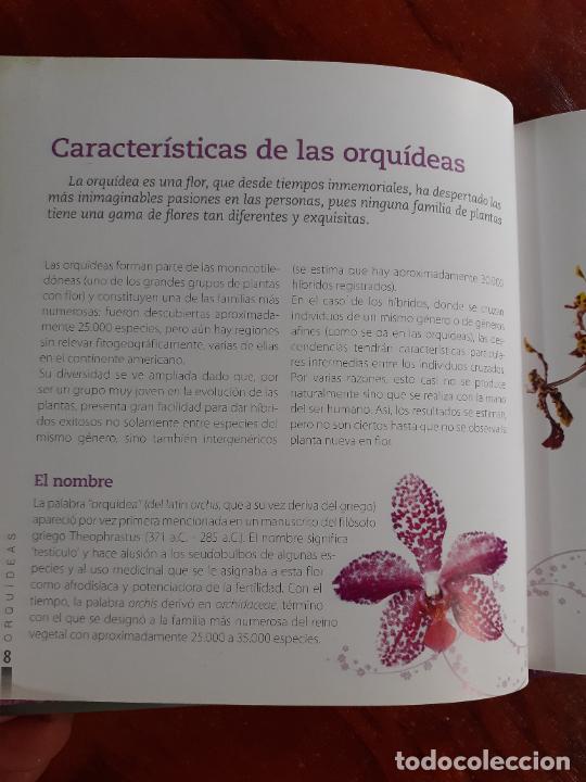 Libros: ORQUIDEAS � PLANTAS MEDICINALES - MARIA JULIA FREULER - Foto 4