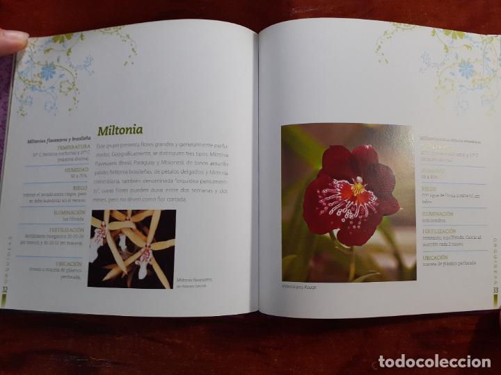 Libros: ORQUIDEAS � PLANTAS MEDICINALES - MARIA JULIA FREULER - Foto 5