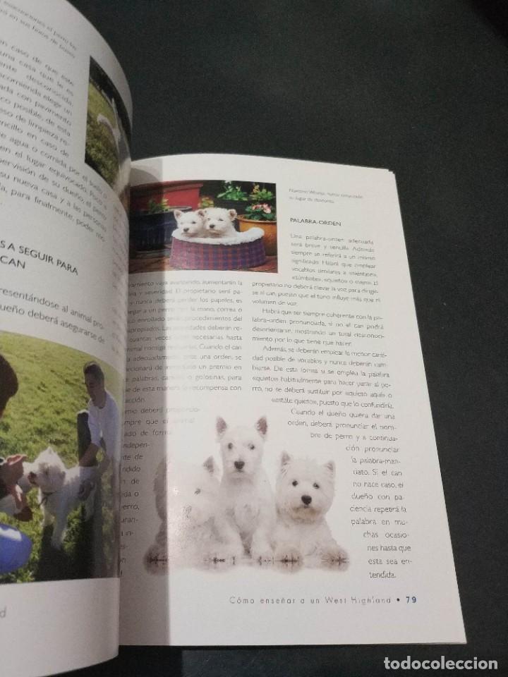 Libros: WEST HIGHLAND - Foto 2