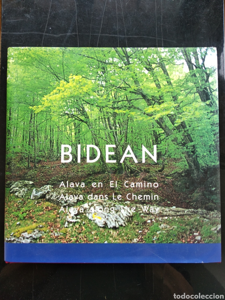 Libros: Bidean , &Aacute;lava en el camino - Foto 1
