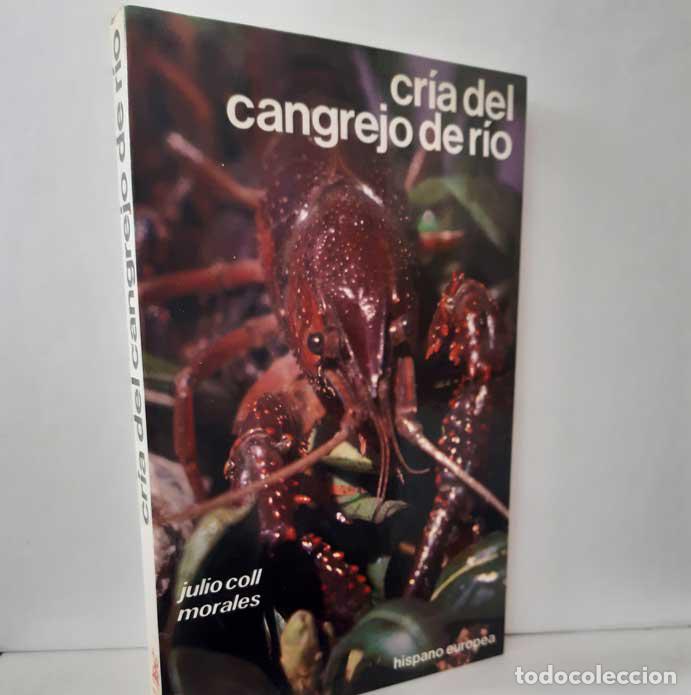 Libros: CR&Iacute;A DEL CANGREJO DE R&Iacute;O - COLL MORALES, JULIO - Foto 1