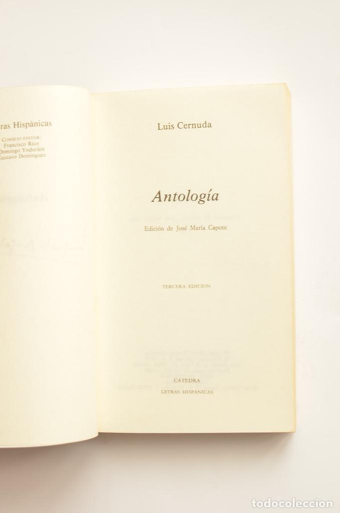 Libros: Luis Cernuda. Antolog&iacute;a - CERNUDA, Luis - Foto 2